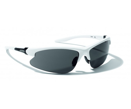 Okulary Alpina Dribs Blue z White