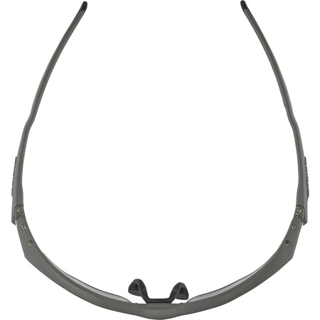 Okulary Alpina Twist Five Hr V Kolor Moon-Grey Mat