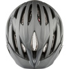 Kask Alpina Parana Dark Silver Matt