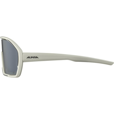 Okulary Alpina Bonfire Q-Lite Kolor Cool-Grey Matt