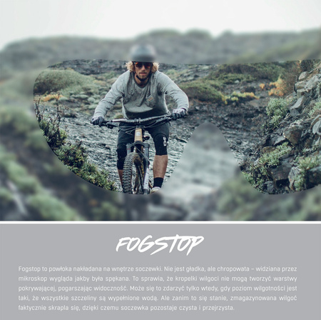 Okulary Alpina Bonfire Q-Lite Kolor Cool-Grey Matt