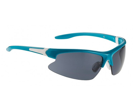 Okulary Alpina Dribs Blue z White
