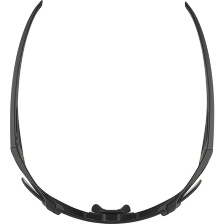 Okulary Alpina Hawkeye Q-Lite V Kolor Black Matt S