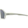 Okulary Alpina Bonfire Q-Lite Kolor Cool-Grey Matt