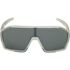 Okulary Alpina Bonfire Q-Lite Kolor Cool-Grey Matt