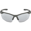 Okulary Alpina Twist Five Hr V Kolor Moon-Grey Mat