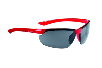 Okulary Alpina Draff Kolor Red Szkło Cm